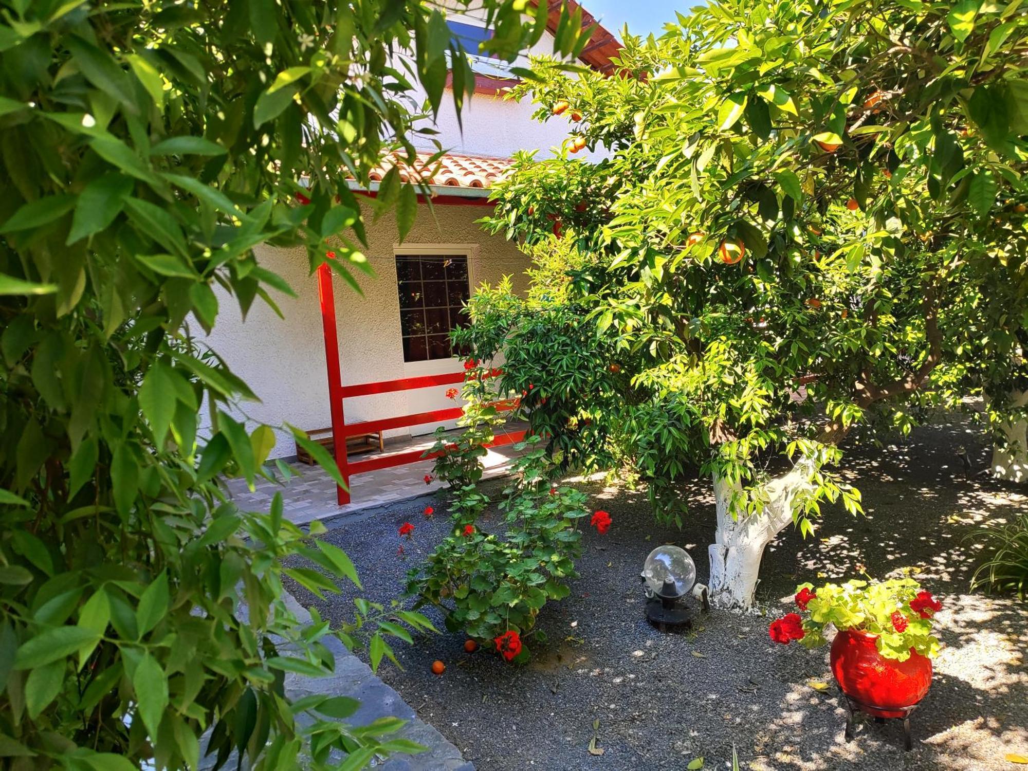 Cottonclub Villas Tolón Exteriör bild